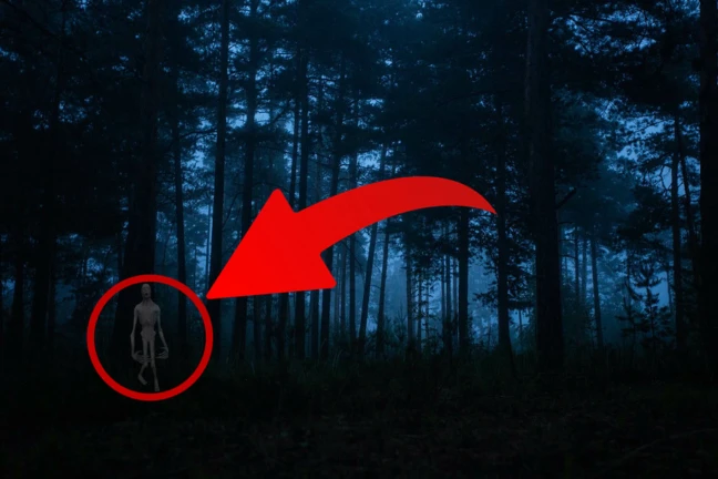 Forest with SCP [HELICOPTER!] ekran görüntüsü