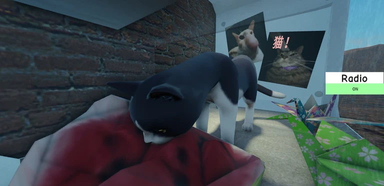 Meow Camera ekran görüntüsü