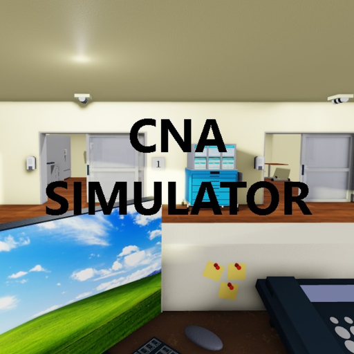 CNA Simulator ekran görüntüsü