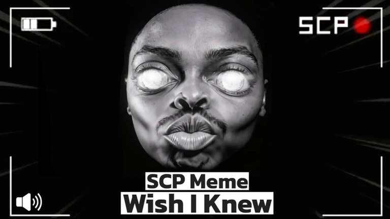Survive Wish I knew ekran görüntüsü