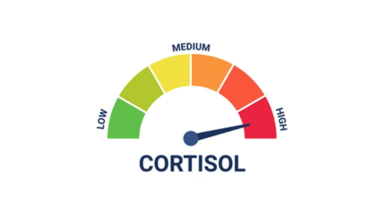 Jump Into Low Cortisol ekran görüntüsü