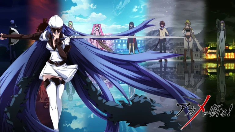 ⚔️ Akame ga Kill Character Quiz! ekran görüntüsü
