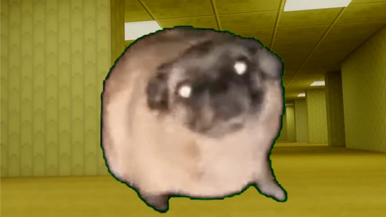 Dancing Pug Meme Backrooms ekran görüntüsü