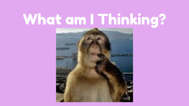 What Am I Thinking? [2 Player Quiz] ekran görüntüsü