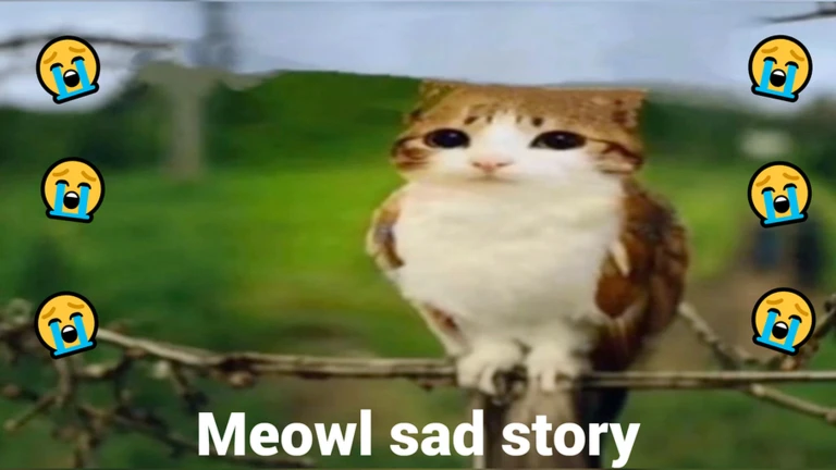 [SOON] Meowl Sad Story  ekran görüntüsü