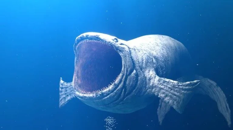 Bloop Scp 096 ekran görüntüsü