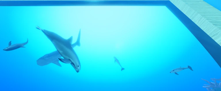 The Vaquita Conservatory - Educational aquarium ekran görüntüsü