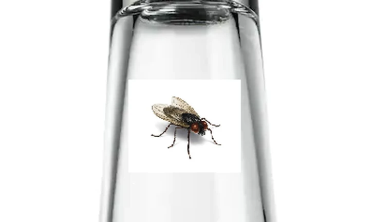 fly town ekran görüntüsü