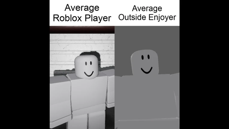 Average Fan vs Average Enjoyer ekran görüntüsü