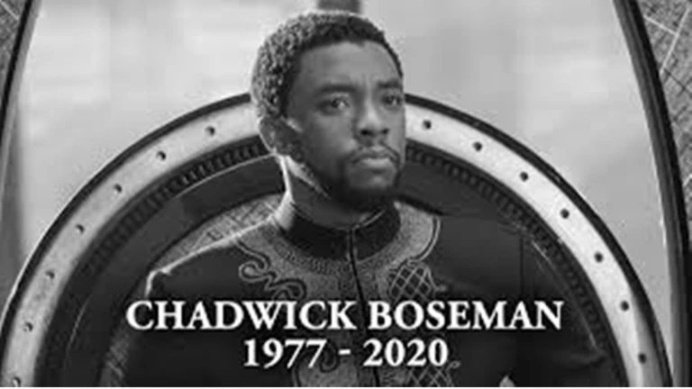 R.I.P black panther... 😭😭😭 ekran görüntüsü