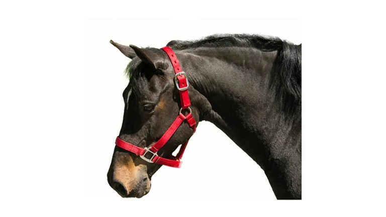 horses ekran görüntüsü