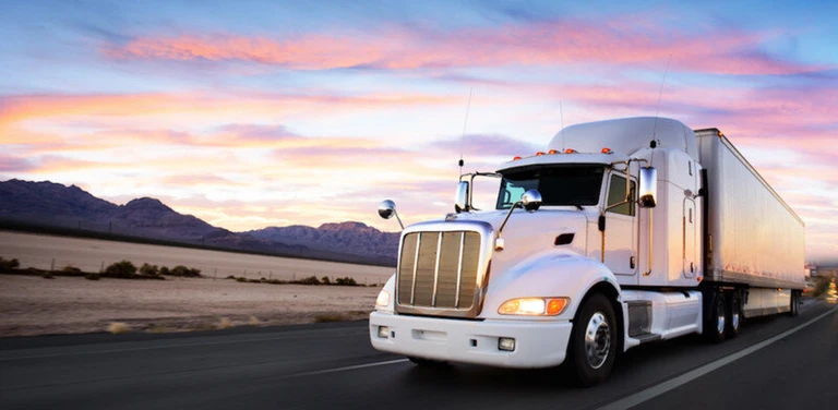 truck sim ekran görüntüsü
